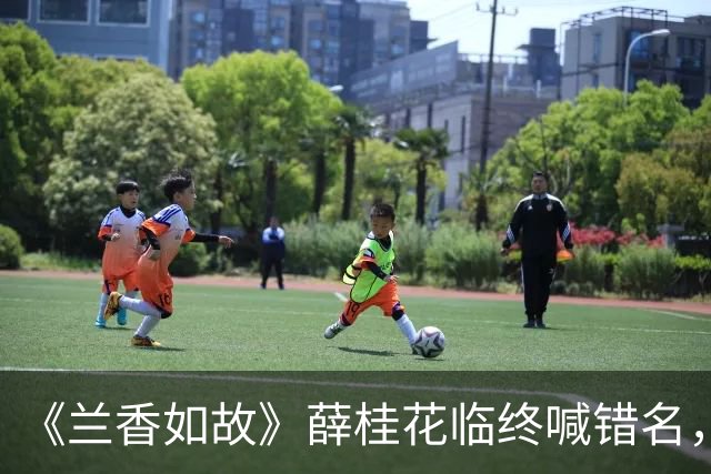 《兰香如故》薛桂花临终喊错名，兰香跪在床边，自己替人活了24年