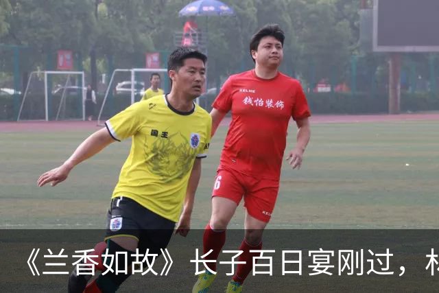 《兰香如故》长子百日宴刚过，林锦岚就撑不住了，临终只求许兰香一句：替我照顾好她娘俩