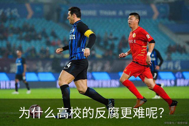 为什么高校的反腐更难呢？