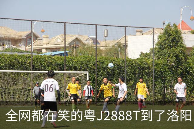 全网都在笑的粤J2888T到了洛阳，看到车身贴的东西，评论区安静了
