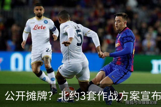 公开摊牌？北约3套作战方案宣布就位，全线瞄准俄罗斯