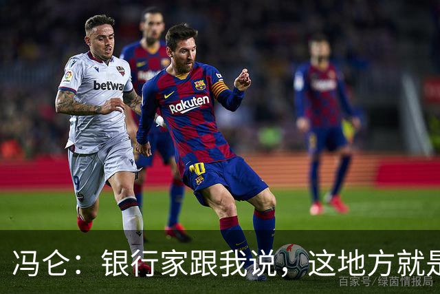 冯仑：银行家跟我说，这地方就是个坟场