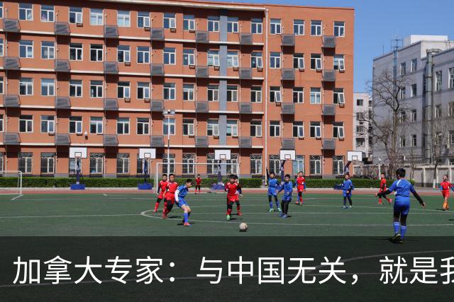 加拿大专家：与中国无关，就是我们干的