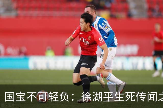 国宝不可轻负：徐湖平生死传闻之外，更要看见文博治理的漏洞