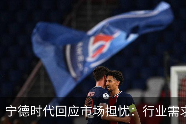 宁德时代回应市场担忧：行业需求没有那么悲观，接下来产能利用率仍将处于较高水平