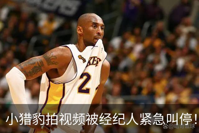 小猎豹拍视频被经纪人紧急叫停！