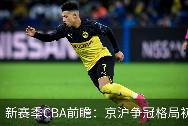 新赛季CBA前瞻：京沪争冠格局初成 升降级制度回归