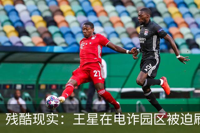 残酷现实：王星在电诈园区被迫刷脸借贷，被救1年多，仍分期还钱