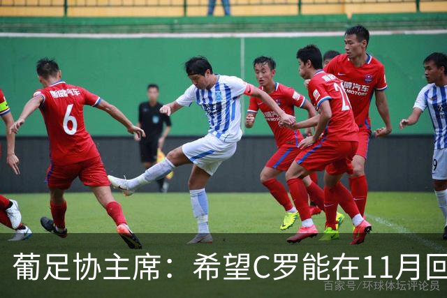 葡足协主席：希望C罗能在11月回归国家队，所有人都期待再次团聚