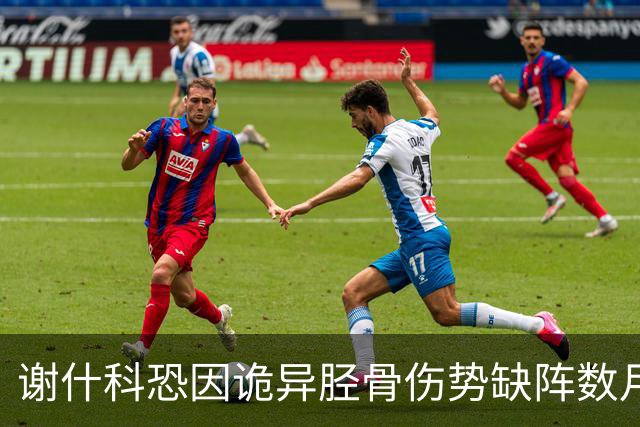 谢什科恐因诡异胫骨伤势缺阵数月！受伤过程曝光，曼联查不出究竟