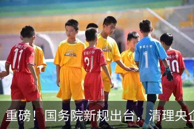 重磅！国务院新规出台，清理央企拖欠账款，工程回款迎来重大转折