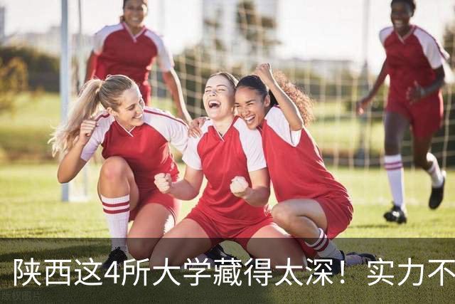 陕西这4所大学藏得太深！实力不输中南，本地人偷偷报