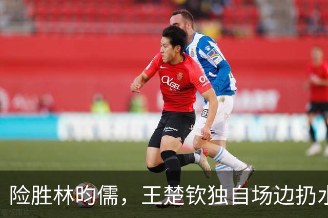 险胜林昀儒，王楚钦独自场边扔水瓶，谁注意表情，王励勤不该犯错