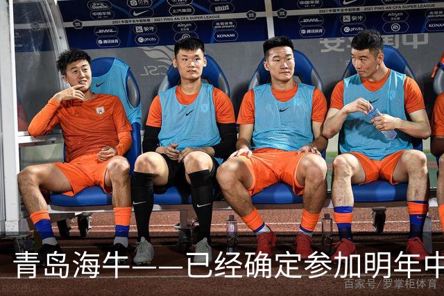 青岛海牛——已经确定参加明年中甲的球队