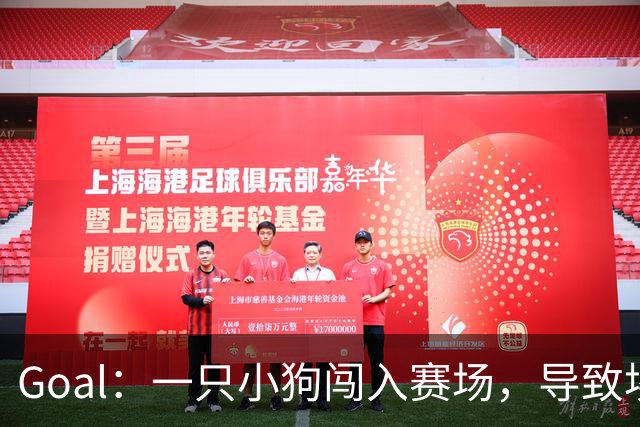 Goal：一只小狗闯入赛场，导致埃及联赛中断